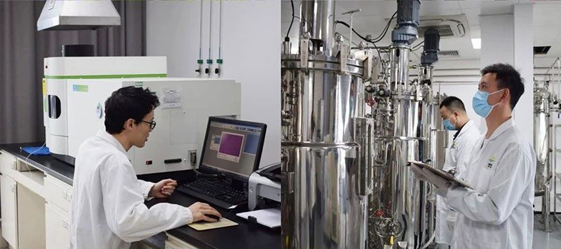 打造新朝陽生物科技“五張名片”，服務(wù)農(nóng)業(yè)高質(zhì)量發(fā)展！