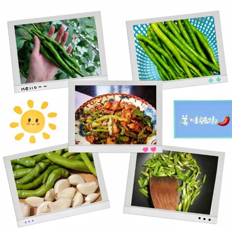 朝陽農(nóng)藝師系列活動(dòng)